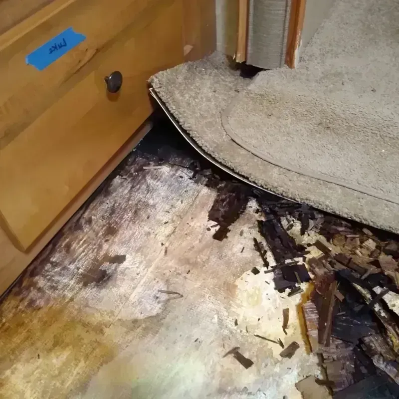 Wood Floor Water Damage in Thomasville, AL